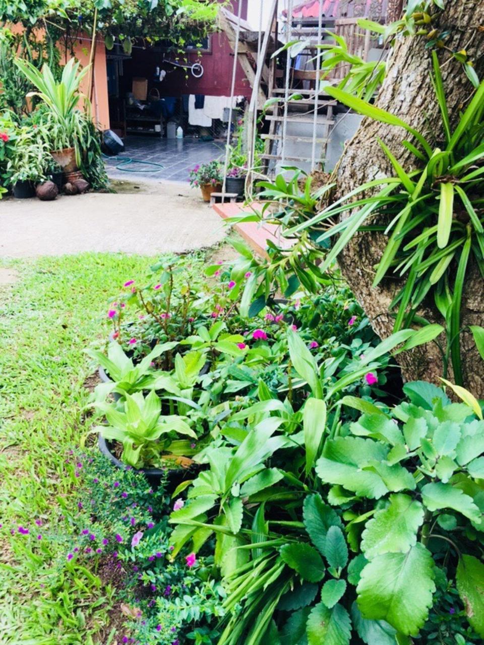 Kanravee Guesthouse Pai Exterior photo
